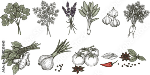 Elegant culinary sketch showcasing an array of fresh herbs and essential kitchen ingredients
