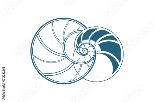 Nautilus Shell Spiral in Blue Outline on Black Background