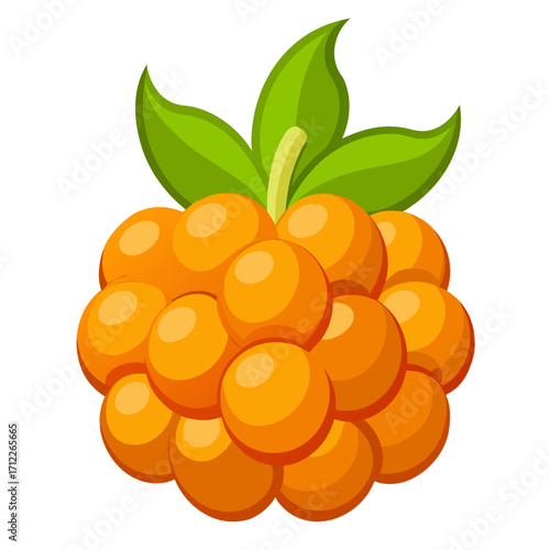 vector illustration of ripe berries