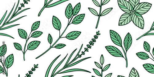 Seamless Hand-Drawn Doodle Herb Set with Basil, Rosemary, Mint, and Lavender on Transparent Background for Culinary, Garden, and Organic Designs