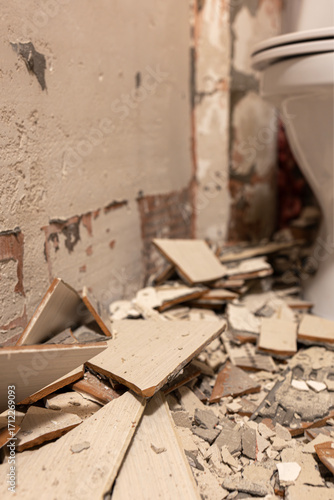 toilet renovation, with broken tiles and a pile of trash