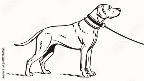 Black and White Illustration of a Dog on a Leash Canine Art Pet Graphic Vector Illustration.