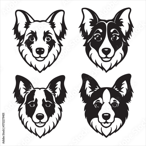 An Energetic and Intelligent Australian Shepherd, a Loyal Herding Dog with a Striking Merle Coat and Heterochromia, an Agile and Playful Tricolor Companion with a Bobtail