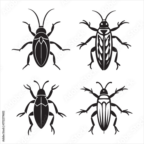 A Nocturnal and Resilient Cockroach, a Scuttling and Unwanted Household Pest Known for its Rapid Reproduction and Adaptability, a Creepy Crawly Insect from the Blattodea Order