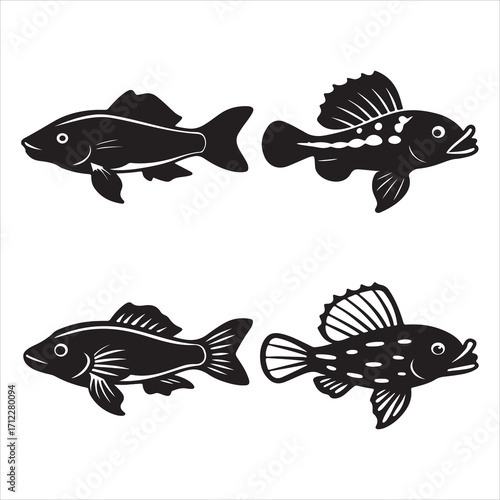 A Unique and Armored Plecostomus, a Freshwater Tropicalfish and Algaeater with a Suckermouth, a Bottomdweller from the Loricariidae Family, a Hobbyist Favorite