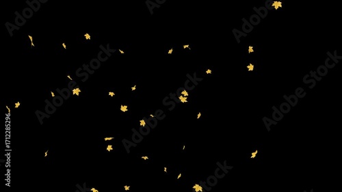 Wallpaper Mural Maple leaves gracefully fall on a transparent background. This versatile alpha clip is perfect for adding natural autumn beauty as an overlay or element. Torontodigital.ca