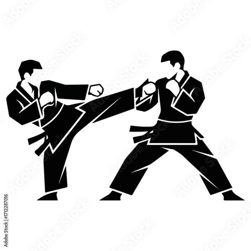 Martial Arts Demonstration - Dynamic Karate Combat Stance.