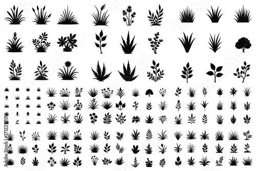 Collection of black plant and grass silhouettes icon