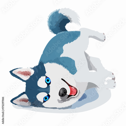 Husky puppy lying on its back with bright blue eyes