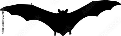 Flying nocturnal mammal animal bat silhouette vector illustration