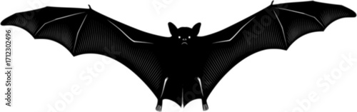 Flying nocturnal mammal animal bat silhouette vector illustration