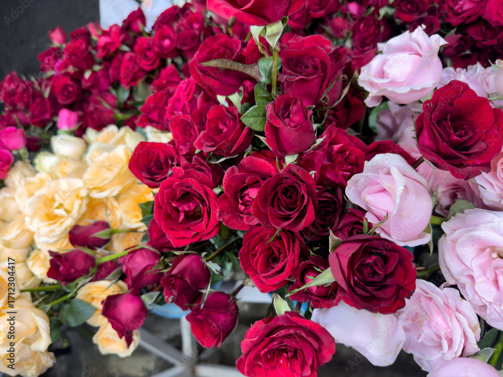 Obraz premium vibrant and colorful close-up shot of a variety of fresh roses in shades of deep red, light pink, and creamy yellow.