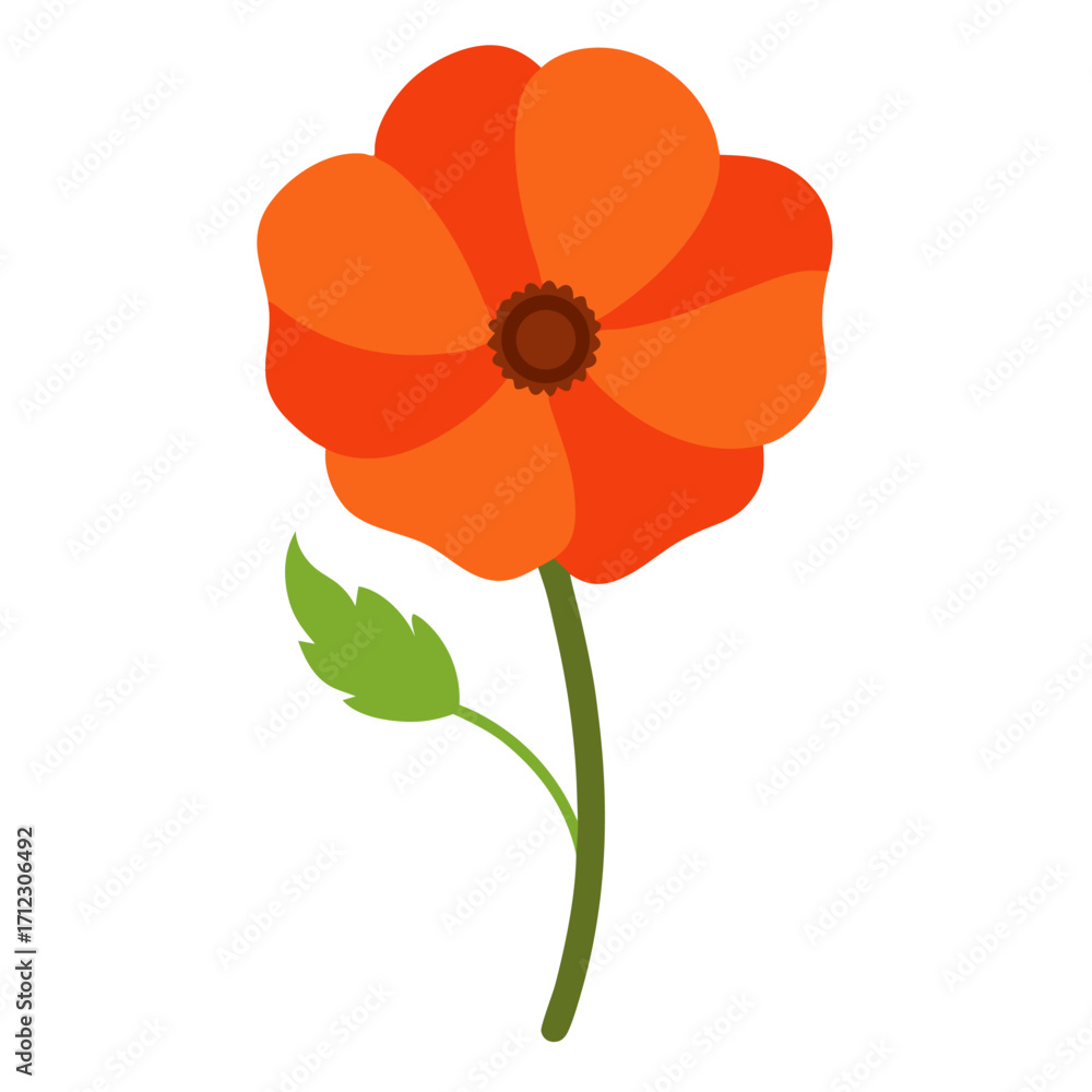 Naklejka premium orange oriental poppy on white background