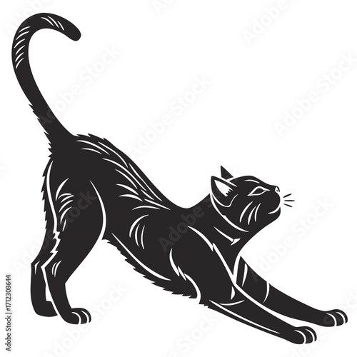 Photography black cat vector illustration