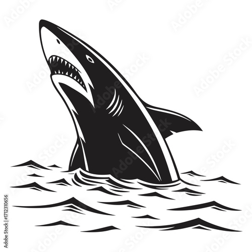 silhouette of a shark