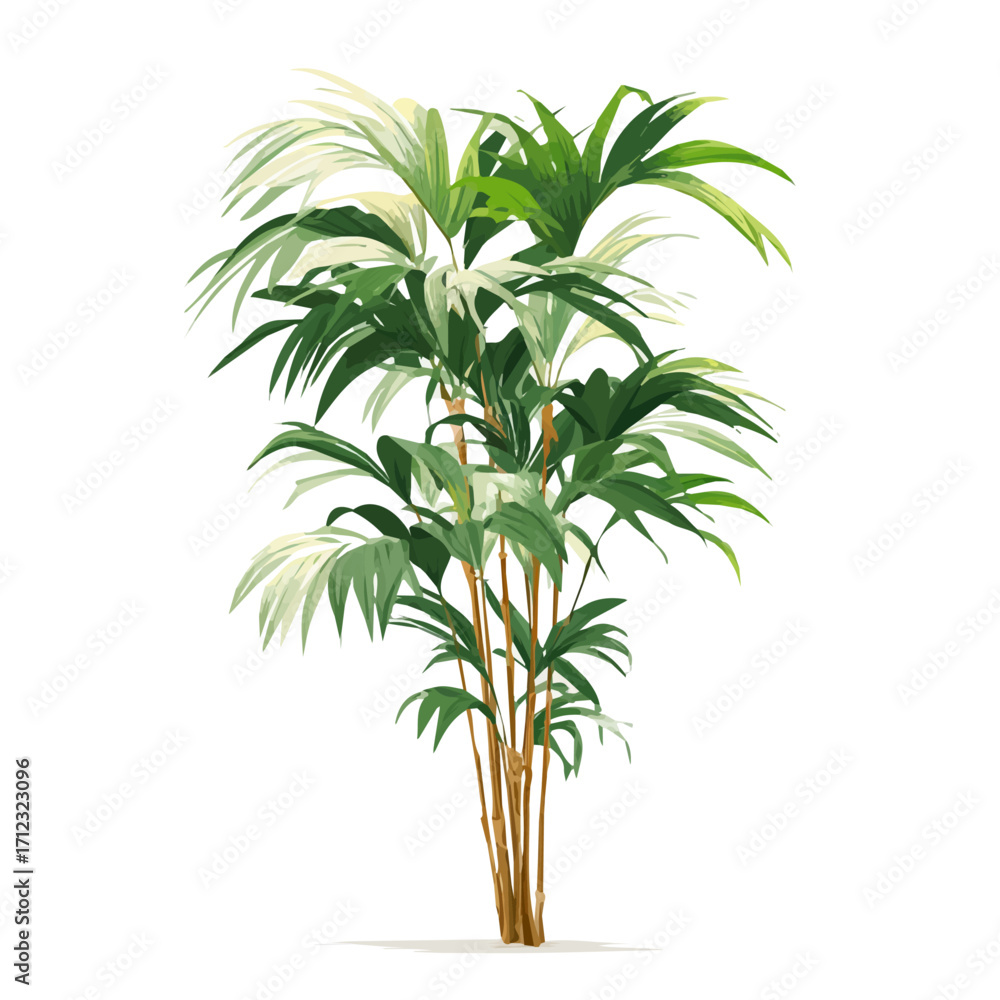 Fototapeta premium Minimal 2D flat vector of a Kentia Palm, icon-style illustration on a white background