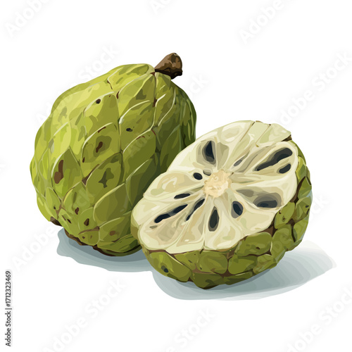 2D flat vector graphic of a Cherimoya in icon style, isolated on white background