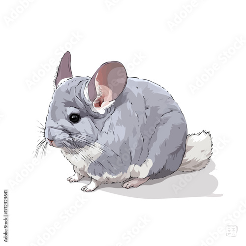Minimal 2D flat vector of a Chinchilla, icon-style illustration on a white background
