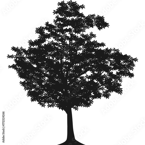 Large Tree Silhouette Illustration for Nature, Landscape, and Forest Design