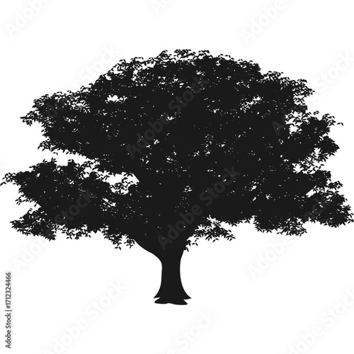 Large Tree Silhouette Illustration for Nature, Landscape, and Forest Design
