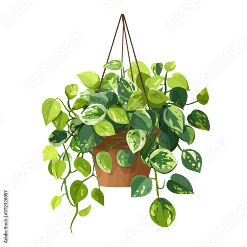 Jade Pothos, 2D flat vector illustration in icon style, isolated on a white background