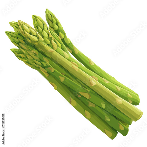 Asparagus, 2D flat vector illustration in icon style, isolated on a white background
