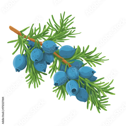Minimal 2D flat vector of a Juniper Berry, icon-style illustration on a white background
