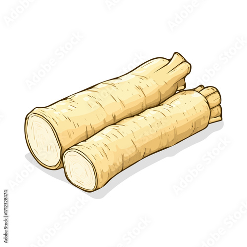 Minimal 2D flat vector of a Horseradish, icon-style illustration on a white background