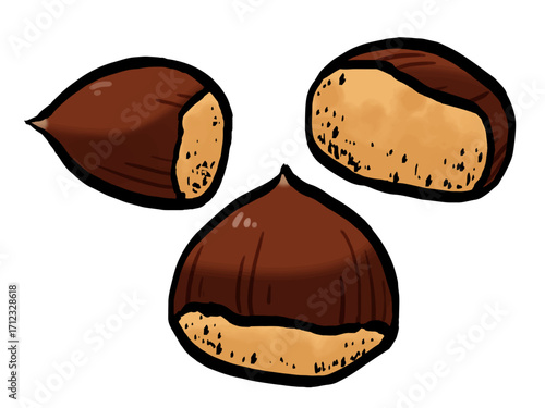筆 栗のイラスト 秋の味覚 シンプル / Chestnut with shell, hand-painted brush style illustration, autumn food