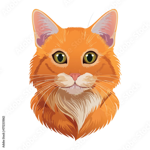 A detailed illustration of an orange cat's head, looking directly at the viewer.