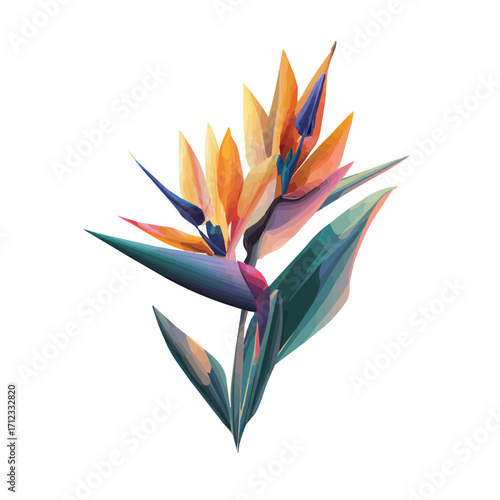 Flat 2D Bird Of Paradise vector illustration, icon graphic on white background