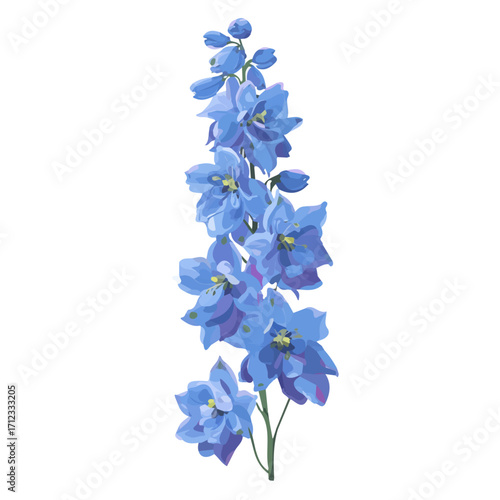 Delphinium, 2D flat vector illustration in icon style, isolated on a white background