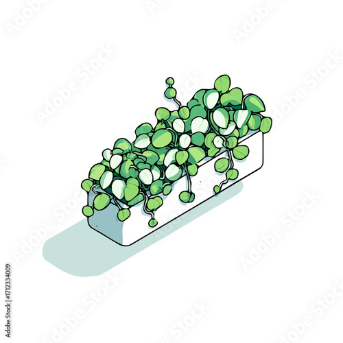 2D flat vector graphic of a Trailing Jade in icon style, isolated on white background