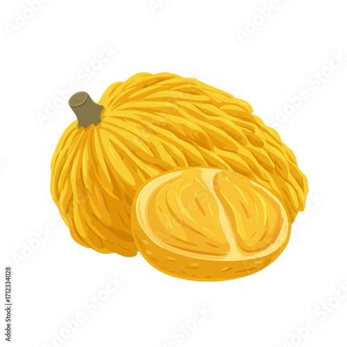 Jackfruit, 2D flat vector illustration in icon style, isolated on a white background