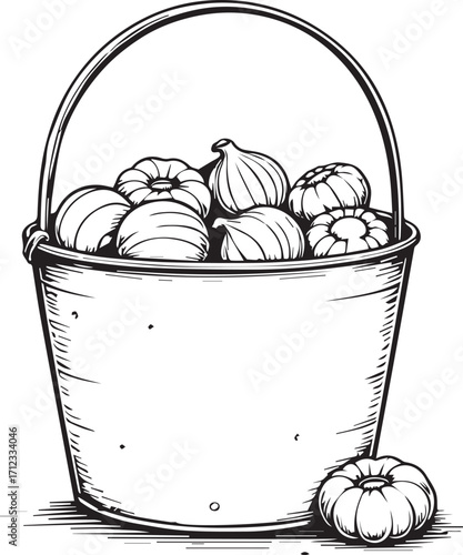 Bucket of Gourds: This graphic illustration showcases a metal bucket overflowing with freshly harvested gourds, highlighting a rustic charm.
