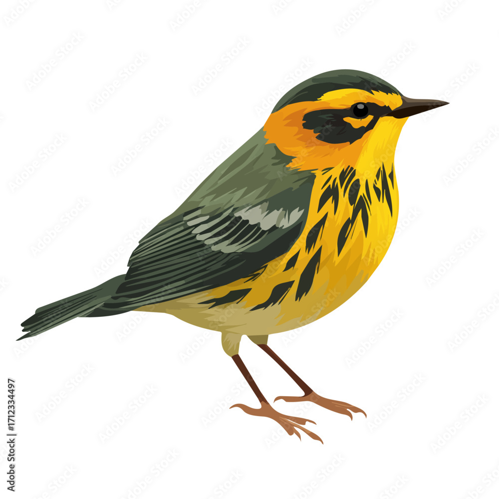 Obraz premium Warbler, 2D flat vector illustration in icon style, isolated on a white background