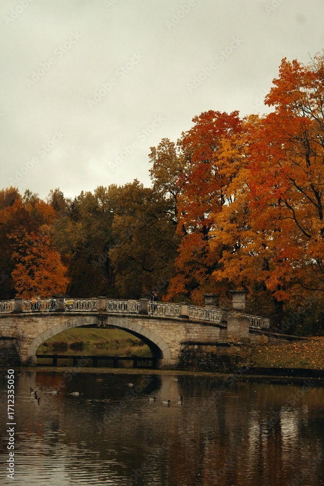 Naklejka premium autumn in the park