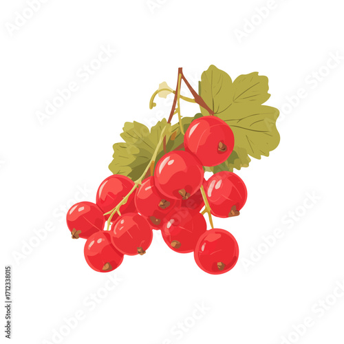 Flat 2D Currant vector illustration, icon graphic on white background