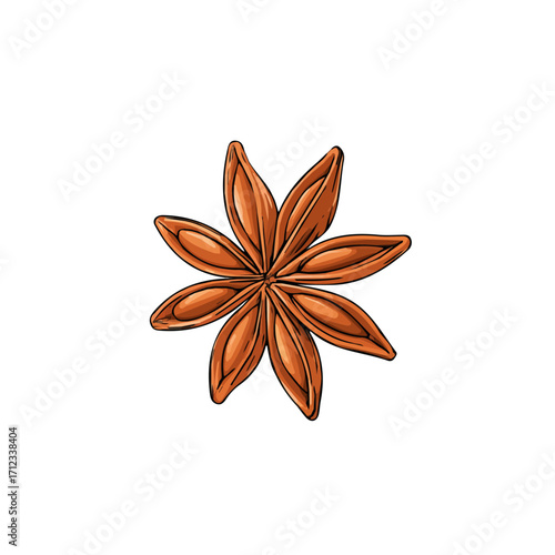 2D flat vector graphic of a Anise in icon style, isolated on white background
