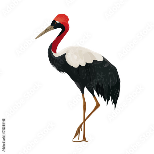 Photos Flat 2D Crane vector illustration, icon graphic on white background