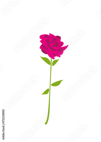 beautiful long-stemmed pink rose
