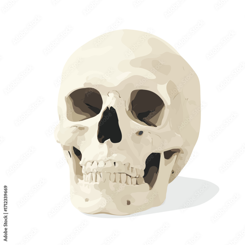 Obraz premium Flat 2D Halloween Skull vector illustration, icon graphic on white background