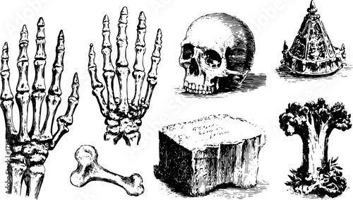 Skeleton hand and skull with bone, crown, and broccoli elements in a detailed black and white vector illustration set.