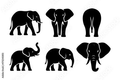 Elephant icons in black silhouette style: walking elephant, front view, back view, elephant with raised trunk, baby elephant, and elephant head.
