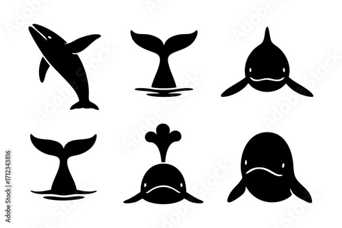 Whale icons in black silhouette style: jumping whale, whale tail, front view, blowing water, swimming whale, and whale head.