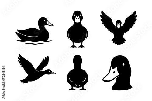 Duck icons in black silhouette style: swimming duck, standing duck, flying duck, front view, back view, and duck head.