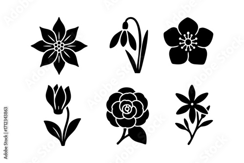 Flower icons in black silhouette style: star flower, snowdrop, five-petal blossom, tulip, camellia, and wildflower branch.