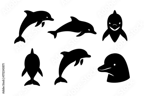 Dolphin icons in black silhouette style: jumping dolphin, swimming dolphin, front view, side view, diving dolphin, and dolphin head.