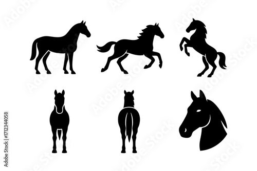 Horse icons in black silhouette style: standing horse, running horse, rearing horse, front view, back view, and horse head.