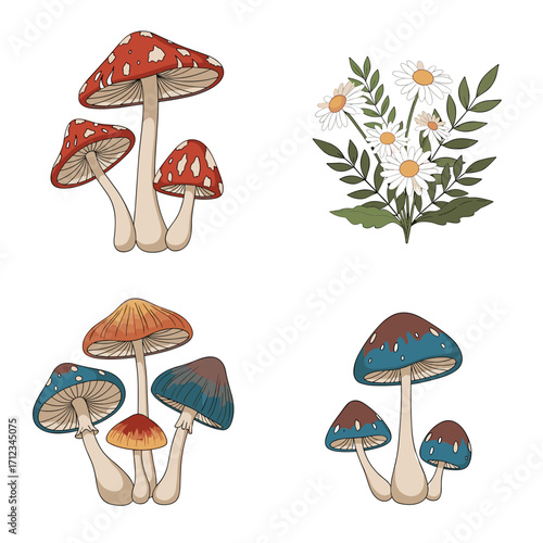 Set of four illustrations of colorful mushrooms and a bouquet of daisies.